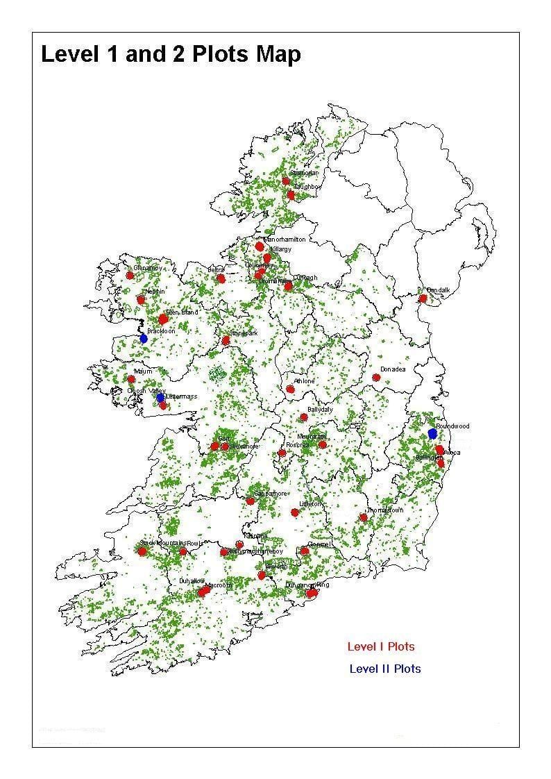 mapa ng ireland sa gubat